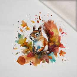 WATERCOLOR SQUIRREL - panel (75cm x 80cm) brushed knitwear with elastane ITY