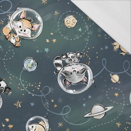 SPACE CUTIES pat. 3 (CUTIES IN THE SPACE) - single jersey with elastane 