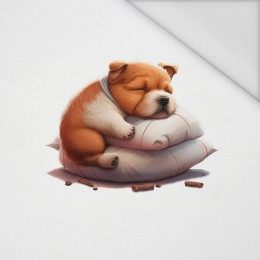 SLEEPING DOG - panel (60cm x 50cm) Waterproof woven fabric