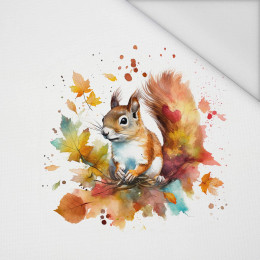 WATERCOLOR SQUIRREL - panel (75cm x 80cm) Waterproof woven fabric