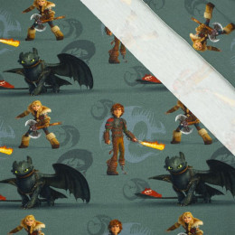 HOW TO TRAIN YOUR DRAGON - single jersey TE210