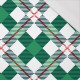 CHECK GREEN-RED / white - single jersey with elastane 