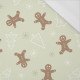 GINGERBREAD MAN (CHRISTMAS GINGERBREAD) / PISTACHIO - single jersey with elastane 