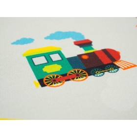 LOCOMOTIVES / green - single jersey with elastane TE210