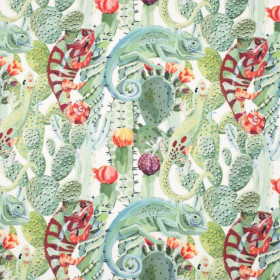 CHAMELEONS - softshell