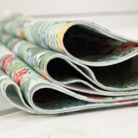 CHAMELEONS - softshell