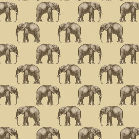 ELEPHANTS (SAFARI)