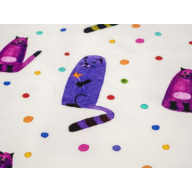 KITTEN FRENZY - looped knit SP250