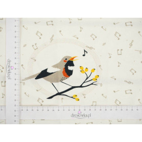 BIRDS TUNES / dirty white - panel single jersey TE210