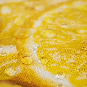 LEMONS - Waterproof woven fabric
