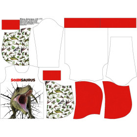 KID'S HOODIE (ALEX) - SOHNSAURUS - sewing set
