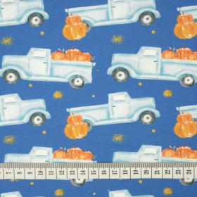 PUMPKINS ON THE PICKUP / GLITTER STARS (PUMPKIN GARDEN) - looped knit fabric