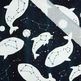 GALACTIC OCEAN (GALACTIC ANIMALS) / navy - single jersey 