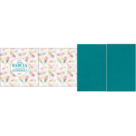 DECORATIVE PILOWS - Jestem Babcią a jaką TY masz Supermoc?/ rainbow feathers