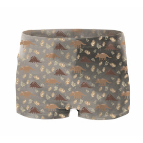 Boy's swim trunks - BROWN DINOSAURS PAT. 4  - sewing set