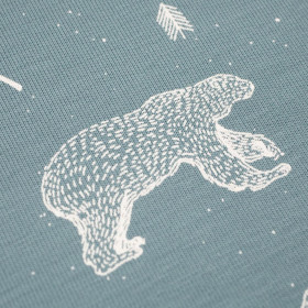BEARS (CONTOUR) / blue-grey - single jersey
