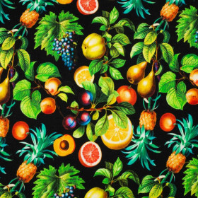 MINI PARADISE FRUITS pat. 1 (PARADISE GARDEN)  - single jersey 