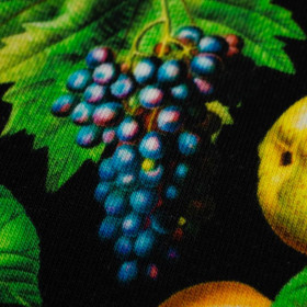 MINI PARADISE FRUITS pat. 1 (PARADISE GARDEN)  - single jersey 