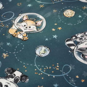 SPACE CUTIES pat. 3 (CUTIES IN THE SPACE) - looped knit fabric