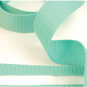 Webbing tape - MINT / Choice of sizes