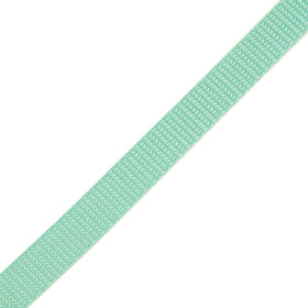 Webbing tape - MINT / Choice of sizes