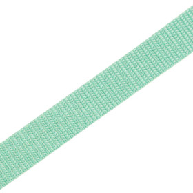 Webbing tape - MINT / Choice of sizes