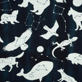 30% - ANIMALS MIX (GALACTIC ANIMALS) / navy - single jersey 