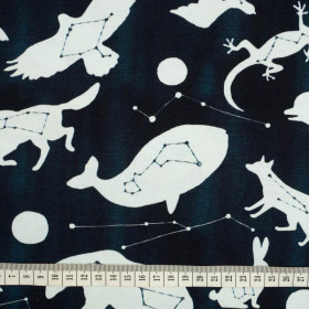 30% - ANIMALS MIX (GALACTIC ANIMALS) / navy - single jersey 