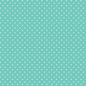 WHITE DOTSIES / mint 