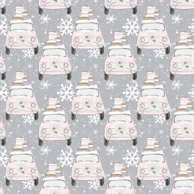 SNOWY CARS (WINTER) 