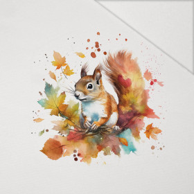 WATERCOLOR SQUIRREL - panel (60cm x 50cm) Hydrophobic brushed knit