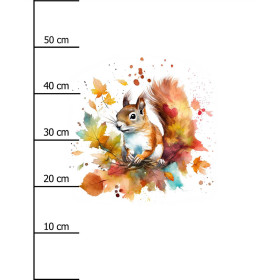WATERCOLOR SQUIRREL - panel (60cm x 50cm) Hydrophobic brushed knit