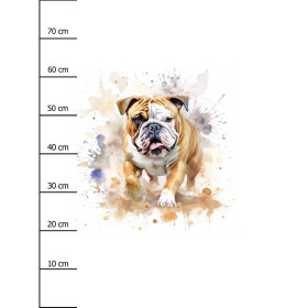 WATERCOLOR BULLDOG - panel (75cm x 80cm) brushed knitwear with elastane ITY