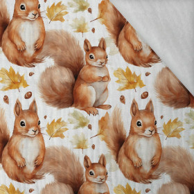 PASTEL SQUIRREL - Cotton muslin