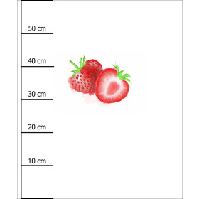 STRAWBERRY - panel (60cm x 50cm)