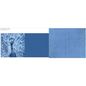 DECORATIVE PILOWS - PEACOCK (CLASSIC BLUE)