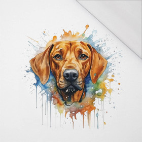 WATERCOLOR RIDGIE - panel (75cm x 80cm) SINGLE JERSEY PANEL