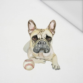 BULLDOG / beige - panel Waterproof woven fabric (50cm x 60cm)