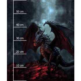 GOTHIC DRAGON -  PANEL (60cm x 50cm) brushed knitwear with elastane ITY