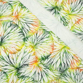 LILY PADS - looped knit SP250