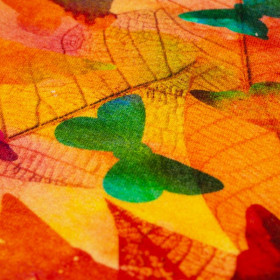 COLORFUL BUTTERFLIES - looped knit SP250