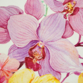 HUMMINGBIRDS AND FLOWERS - looped knit 