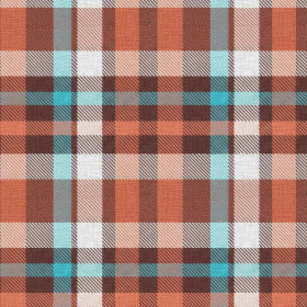 CHECK PAT. 26 - looped knit fabric