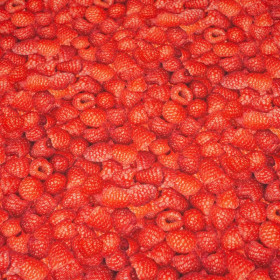 RASPBERRIES - quick-drying woven fabric