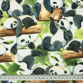 PANDAS ON BAMBOO - softshell