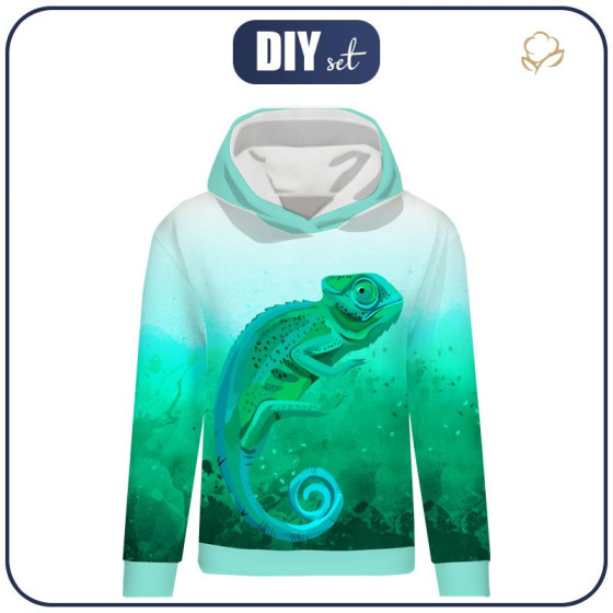 CLASSIC WOMEN’S HOODIE (POLA) - CHAMELEON  - looped knit fabric 