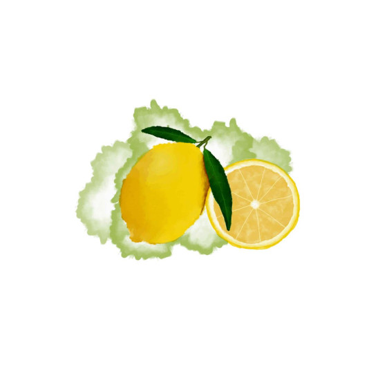 LEMON - panel (60cm x 50cm)