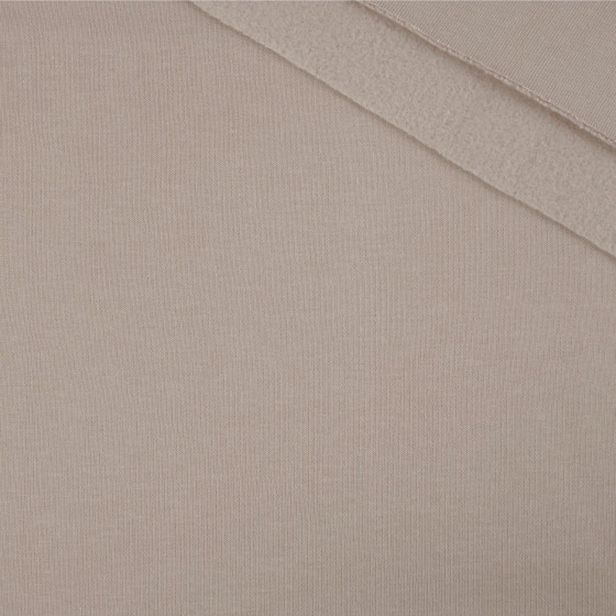 Thick brushed sweatshirt D300 - GREIGE LIGHT (D-40)