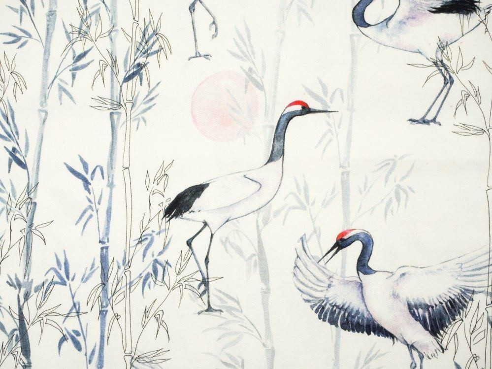 KRANICHE - bio single jerset mit Elastan Sommersweat