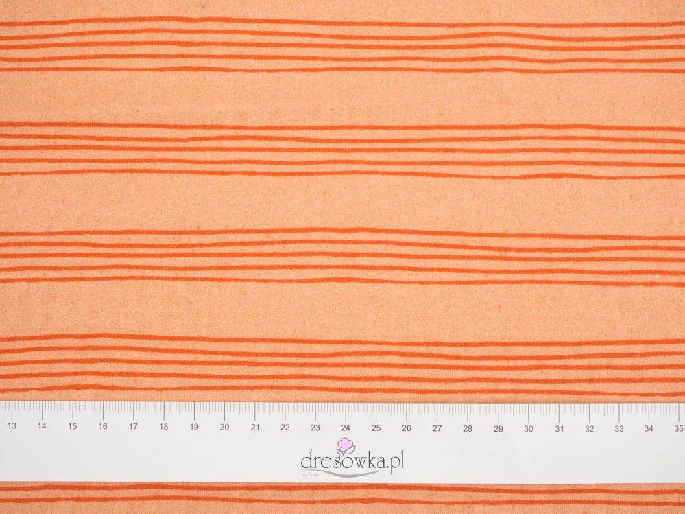 NOTENLINIEN (Vogelgesang) / hell pfirsich - Viskose-Jersey WE210